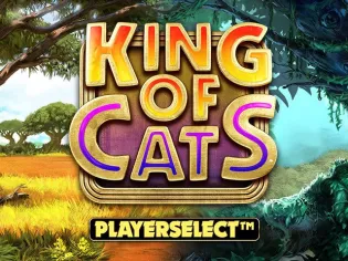 King of Cats Megaways screenshot